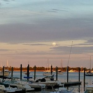 Meet your Posher, Dawn